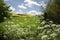 Landscape to Stoney Littleton 3,500 BC | Long Barrow