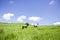 Landscape to Stoney Littleton 3,500 BC | Long Barrow