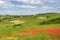 Landscape on the Tortona hills at springtime