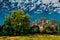 Landscape of townhouse and trees in a sunny day