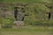 Landscape with Traditional iclandic houses for turists