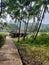 Landscape of traditional indian and Maharashtrian village with houses in background and coconut trees in foreground, konkan house,