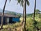 Landscape of traditional indian and Maharashtrian village with houses in background and coconut trees in foreground, konkan house,