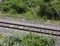 Landscape of trail tracks at the Russell W. Peterson Urban Wildlife Refuge in Wilmington, Delaware