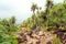 Landscape trails rocky tropical beach.