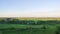 Landscape train road trip side window with beautiful nature field road with forest. Fast moving between trees.