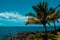 Landscape tranquil beach. Hawaii background, tropical Hawaiian paradise with palm.