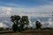 Landscape with tree and clouds