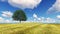 Landscape tree field grass 3D render