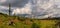 Landscape with trees and clouds - meadow glade with tree stumps and young trees