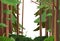 Landscape with trees. Coniferous plants.. Thick shrubs among the trunks. Illustration in cartoon style flat design