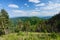 Landscape with trees, forest, mountains and valleys from Scarita-Belioara.