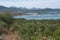 Landscape of trees and greenery near Marinella Gulf in Sardinia, Italy