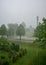 Landscape with trees during rain and storm, the wind made the picture blurry