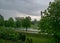 Landscape with trees during rain and storm, the wind made the picture blurry