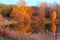 Landscape with trees reflecting in a lake