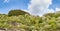 Landscape with trees on a rocky hill, Rhineland-Palatinate, Germany