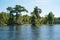 Landscape with Trees, Spanish Moss and Wakulla River at Wakulla Springs, Florida, USA