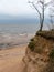 Landscape with trees, steep sea shore