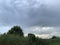 landscape trees tall grass and sky. place for fishermen. Reeds and a berry bush against the background of clouds.