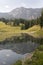 Landscape and trees at Trout Lake in Lamar Valley in Yellowstone National Park