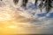 Landscape of tropical beach nature with coconut tree and clouds on horizon in Thailand