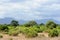 Landscape in Tsavo National Park, Kenya