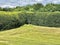 Landscape with tunnel-shaped beech hedge in estate Mariendaal.