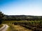 Landscape of the Tuscan vineyards, Chianti region, Italy.