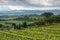 Landscape in Tuscany, Italy. Beautiful wineyard countryside