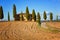 Landscape of Tuscany nature