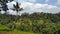 LANDSCAPE OF UBUD BALI