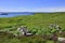 Landscape on Uninhabited Island of the North West Highlands of Scotland