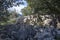 Landscape with unusual looking limestone rocks in the Lluc area