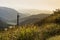 Landscape from Urkulu peak, mountains and jungle of Irati in autumn.