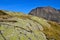 Landscape in val senales, south tyrol italy