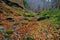 Landscape from Valea lui Stan gorge