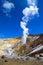 Landscape. The valley of fumaroles in the eruption of vapors of boiling water and sulfur.