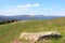 Landscape of the Valley of Munster in Alsace with cows and hikers