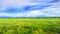 Landscape of a vast grassland field