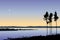 Landscape vector illustration, beautiful nature with silhouette of pine trees on lake shore in the evening