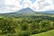 Landscape of the vegetation of the Arenal volcano natural park