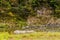 Landscape of a vertical granite wall