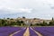 Landscape with vibrant purple Lavender field and typical village of Southern France in distance at blooming season