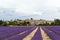 Landscape with vibrant purple Lavender field and typical village of Southern France in distance at blooming season