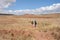 Landscape in the vicinity of Tiahuanaco.