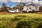 Landscape view of 4WD and modern caravan in the outback of Australia next to a field of blooming Everlasting wildflowers