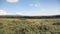 Landscape view of african savannah scenery, Aberdare National Park, Ke