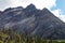 Landscape view of alpine trees and a huge rocky mountain