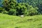 Landscape view of Atalaia Park, Itajai City, Brazil. Parque Nacional da Serra do Itajai